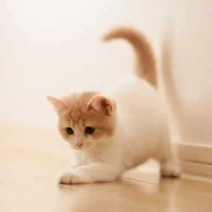 Meet your Posher, Mikayla